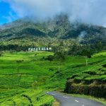 Paket Wisata Pagar Alam 4 Pax Termasuk Kendaraan & Penginapan (3 hari)