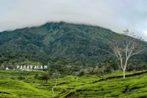 Menikmati Perjalanan Wisata Ke Pagar Alam Dengan Rental Motor