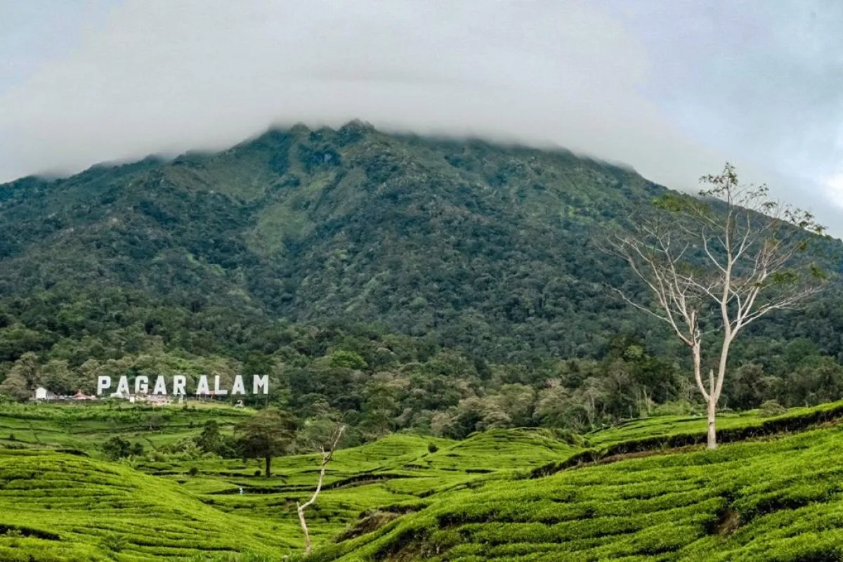 Menikmati Perjalanan Wisata Ke Pagar Alam Dengan Rental Motor